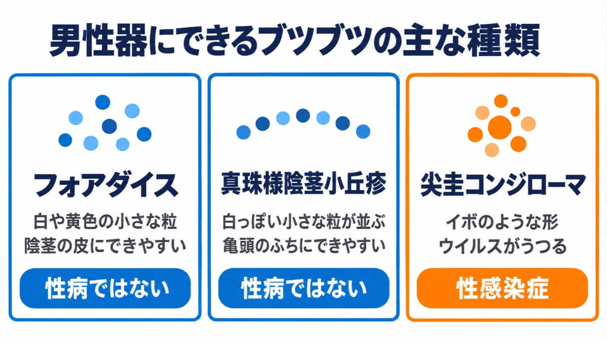 男性器にできるブツブツの主な種類