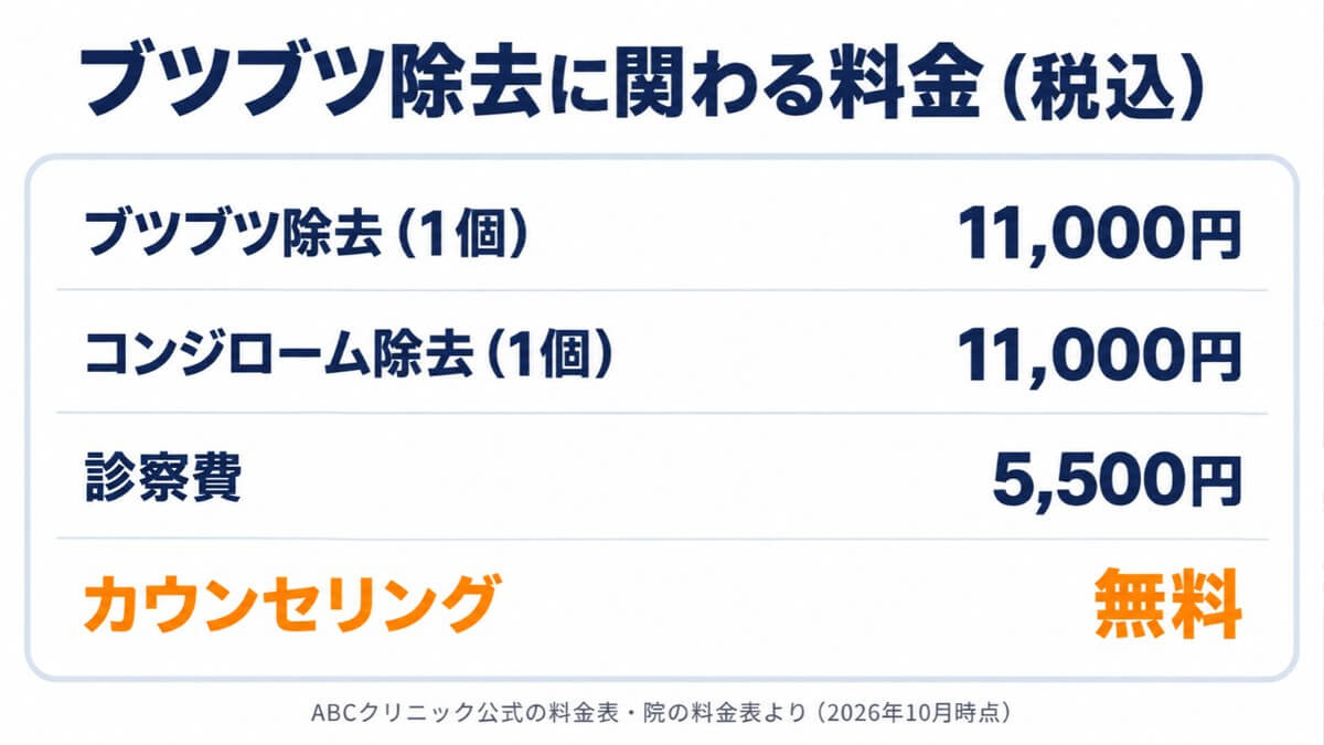 ブツブツ除去に関わる料金(税込)